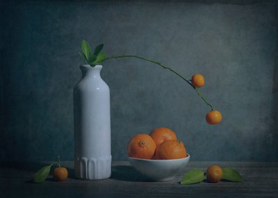  de Fangping Zhou