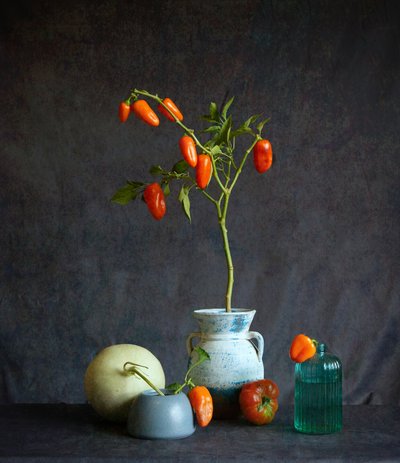  de Fangping Zhou