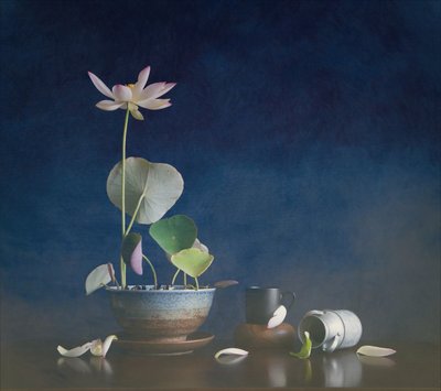 Naturaleza muerta con loto sereno de Fangping Zhou