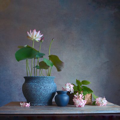  de Fangping Zhou