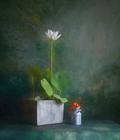 Naturaleza muerta con un sereno loto blanco de Fangping Zhou