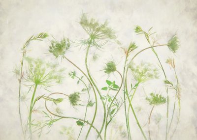  de Fangping Zhou