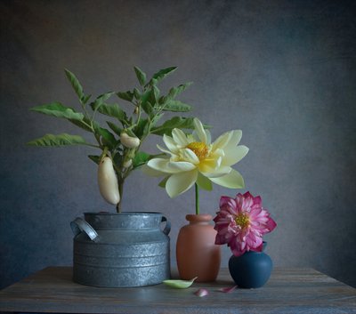 Berenjenas blancas, dalia, naturaleza muerta de Fangping Zhou