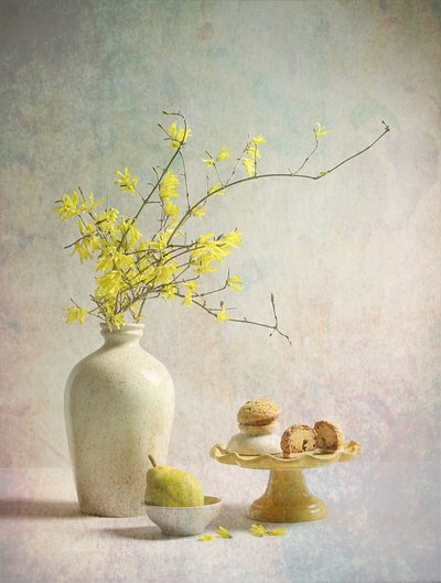 Las delicias de la forsitia amarilla de Fangping Zhou