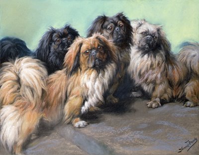 Queridas mimadas (tiza de colores) de Fannie Moody