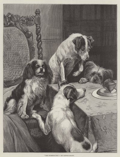 El trompo de Fannie Moody
