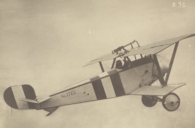 [Perfil de un Nieuport 17 en vuelo (avión)] de Fedele Azari