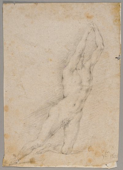 Dibujo de Fedele Fischetti