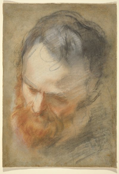 Cabeza de un Hombre con Barba de Federico Barocci