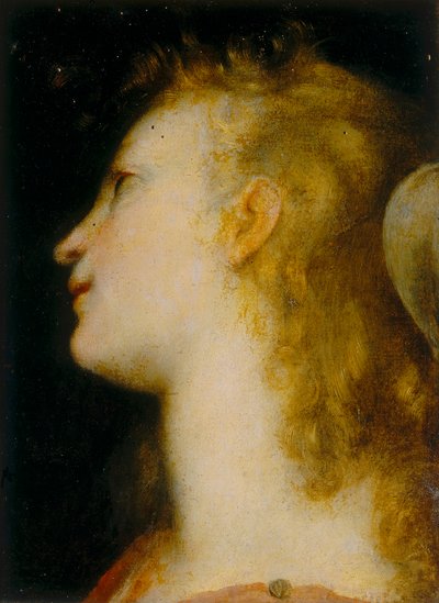 Cabeza de un ángel de Federico Barocci