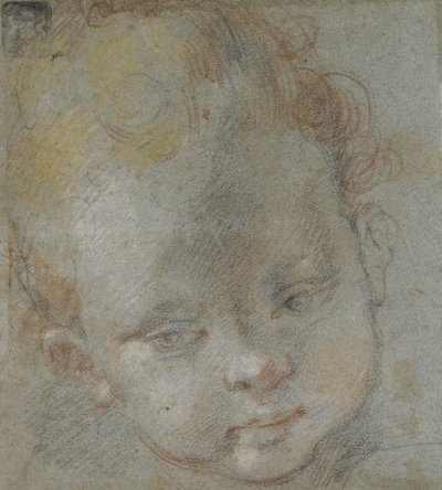 Cabeza de un Niño de Federico Barocci