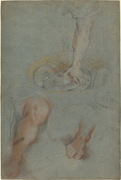 Estudios para un sirviente en "La última cena" de Federico Barocci