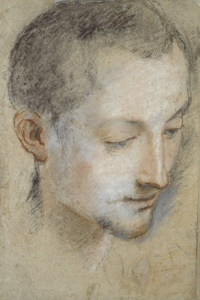 Estudio de la cabeza de un joven de Federico Barocci