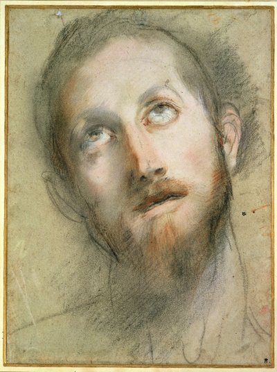 Estudio para la cabeza de Cristo de Federico Fiori Barocci or Baroccio