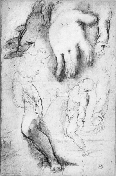 Estudio para la figura de San Francisco de Federico Fiori Barocci or Baroccio