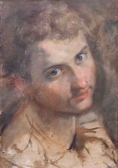 Estudio para la cabeza de San Judas de Federico Fiori Barocci or Baroccio
