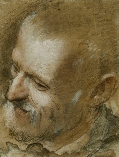 Estudio de la cabeza de un hombre barbudo girado a la izquierda, 1590 de Federico Fiori Barocci or Baroccio