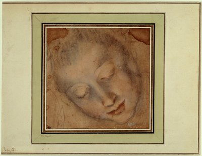 Cabeza de mujer con ojos firmes de Federico Fiori Barocci or Baroccio