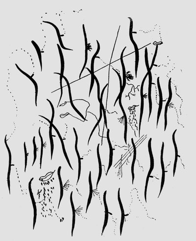 Parque, ilustración de 