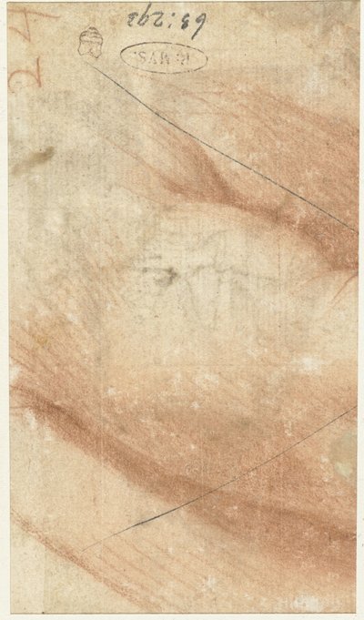 Parte de un brazo de Federico Zuccaro