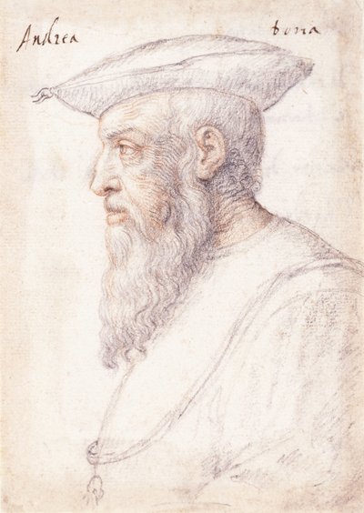 Retrato de Andrea Doria de perfil a la izquierda, con la orden del Toisón de Oro de Federico Zuccaro