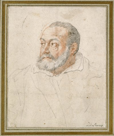 Retrato de un hombre de Federico Zuccaro