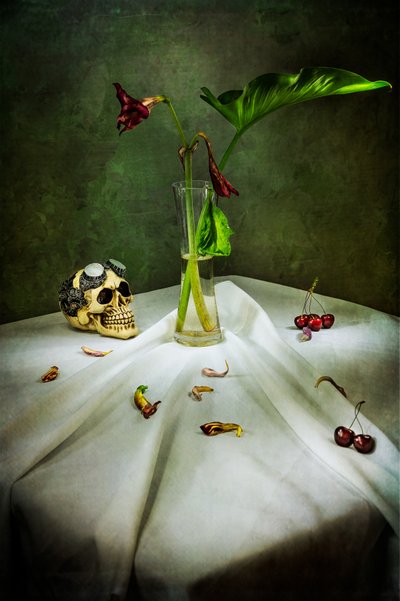 Calavera gótica Vanitas de Felice Angelino