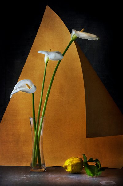  de Felice Angelino