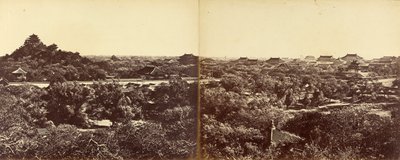 Vista del Palacio de Invierno Imperial, Pekín, mostrando la Colina Artificial, 29 de octubre de 1860 de Felice Beato