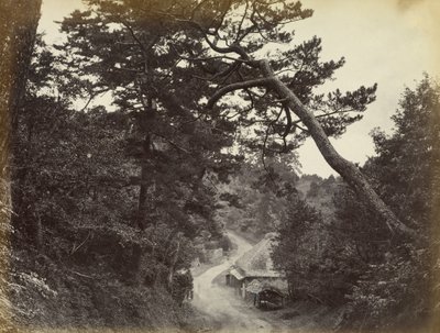 Vista de la carretera de Tokaido de Felice Beato