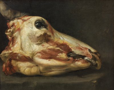 Cabeza desollada de un buey de Felice Boselli