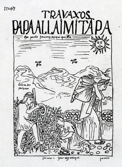 El mes de junio, cosecha de las patatas de Felipe Huaman Poma de Ayala