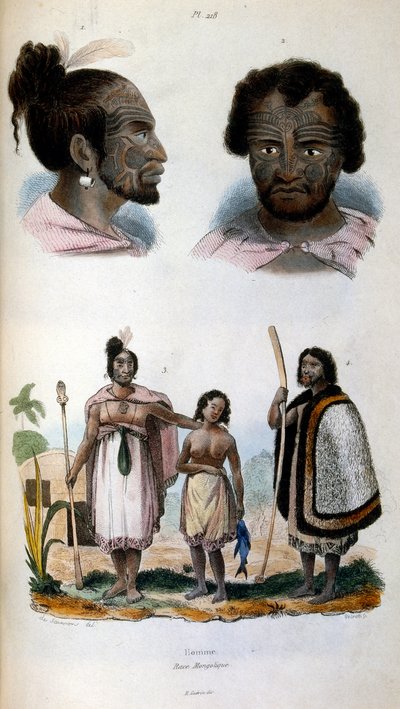 Ilustración antropológica de la raza maorí de Felix-Edouard Guerin