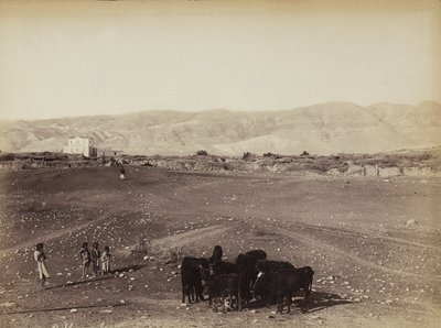 Una zona rocosa con niños y animales pastando, en Egipto de Félix Bonfils