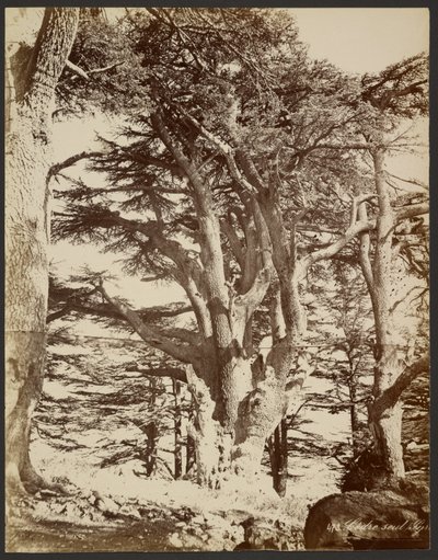  de Félix Bonfils