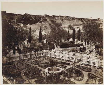 Jardin De Gethseman n.º 303 de Félix Bonfils