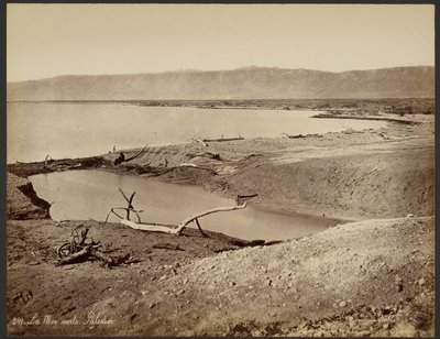 El mar Muerto, Palestina de Félix Bonfils