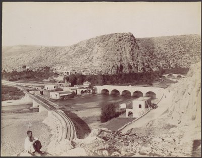 Los puentes de las flores de cornejo de Félix Bonfils