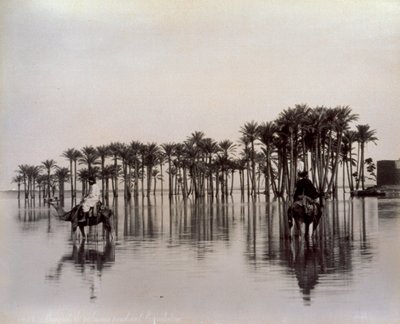 Hombres en camellos cruzando una zona desértica egipcia inundada por el Nilo, Egipto de Félix Bonfils