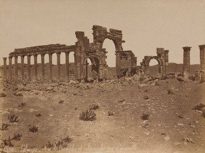 Palmira: vista general del Arco de Triunfo y la columnata de Félix Bonfils