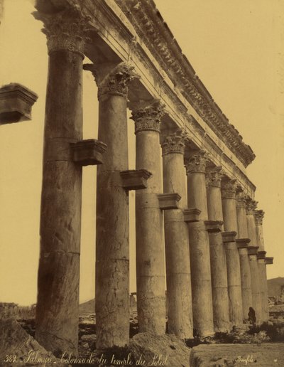 Restos de la columnata del Templo del Sol en Palmira, Siria de Félix Bonfils