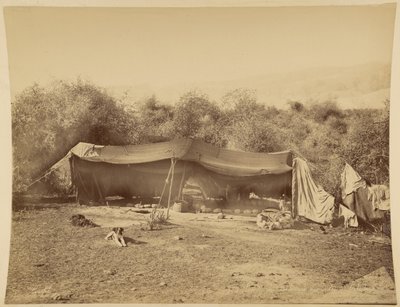 Tienda de beduinos nómadas, Palestina de Félix Bonfils