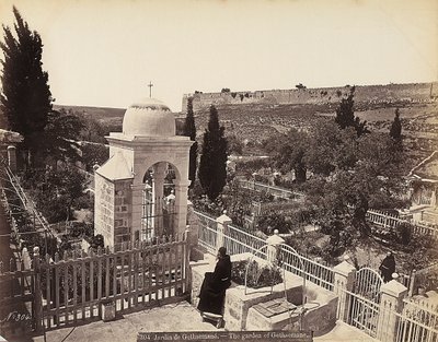 Vista del jardín de Getsemaní o el Huerto de los Olivos, en el cual, según la tradición, Cristo pasó los últimos días de su vida de Félix Bonfils