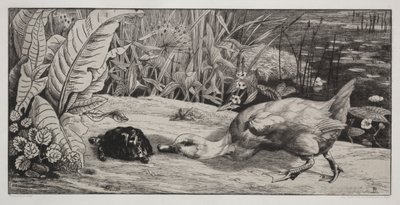 Un desconocido de Felix Bracquemond