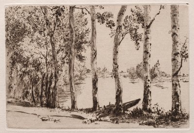 Álamos en la Orilla del Sena de Felix Bracquemond