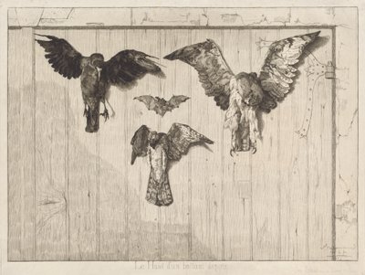 Pájaros clavados en una puerta de granero (Le haut d