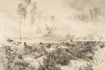 Brumas de la mañana, 1882 de Felix Bracquemond