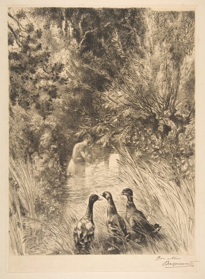 Patos sorprendidos, 1882 de Felix Bracquemond