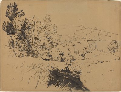 Paisaje costero de Felix Bracquemond