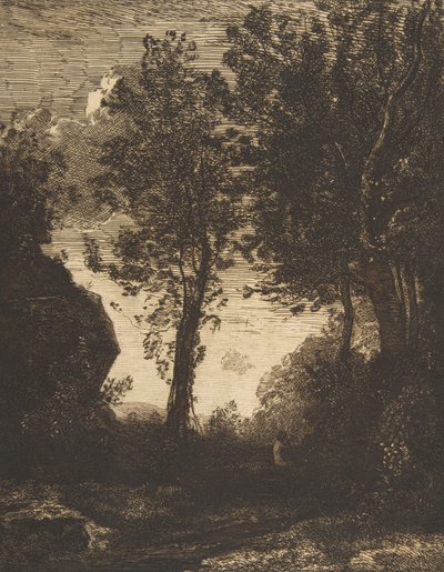 Puesta de sol, 1858 de Felix Bracquemond